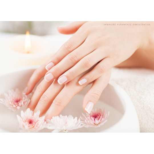 Scaldaparaffina Professionale Sm507 2