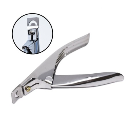 Tips coupante à pointe type 4