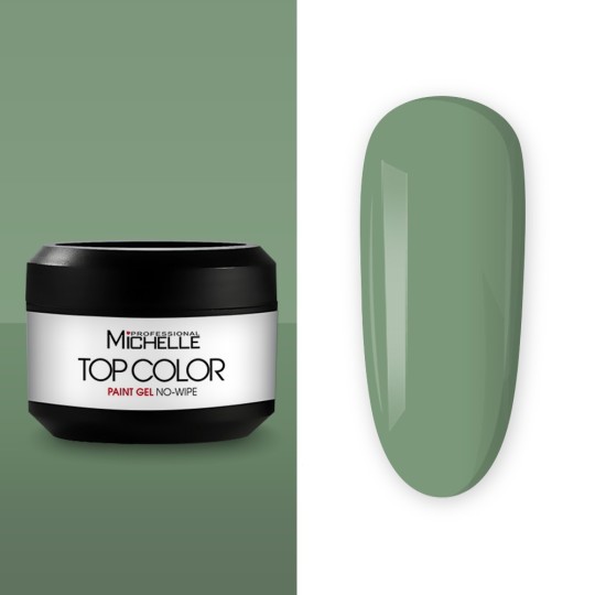 Top Color Paint Gel - 29
