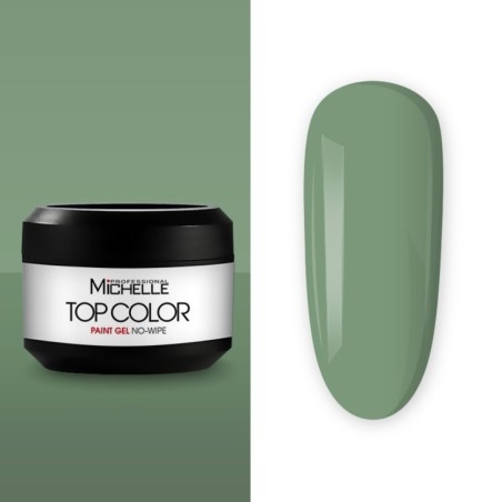 Top color paint gel - 29