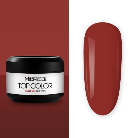 Top color paint gel - 17