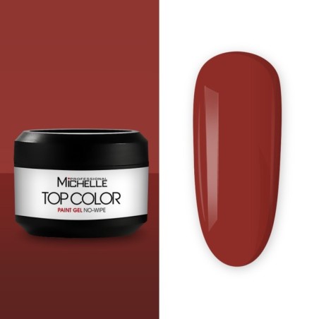 Top color paint gel - 17