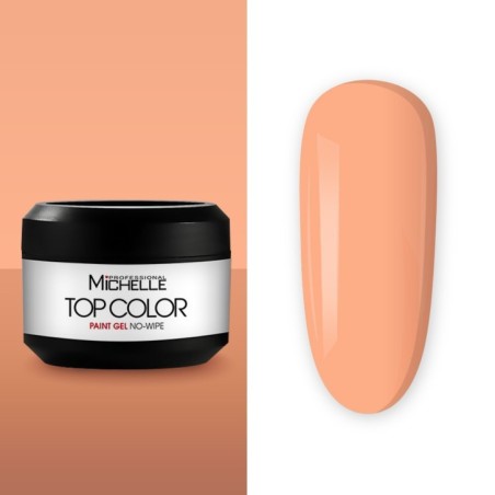Top color paint gel - 19