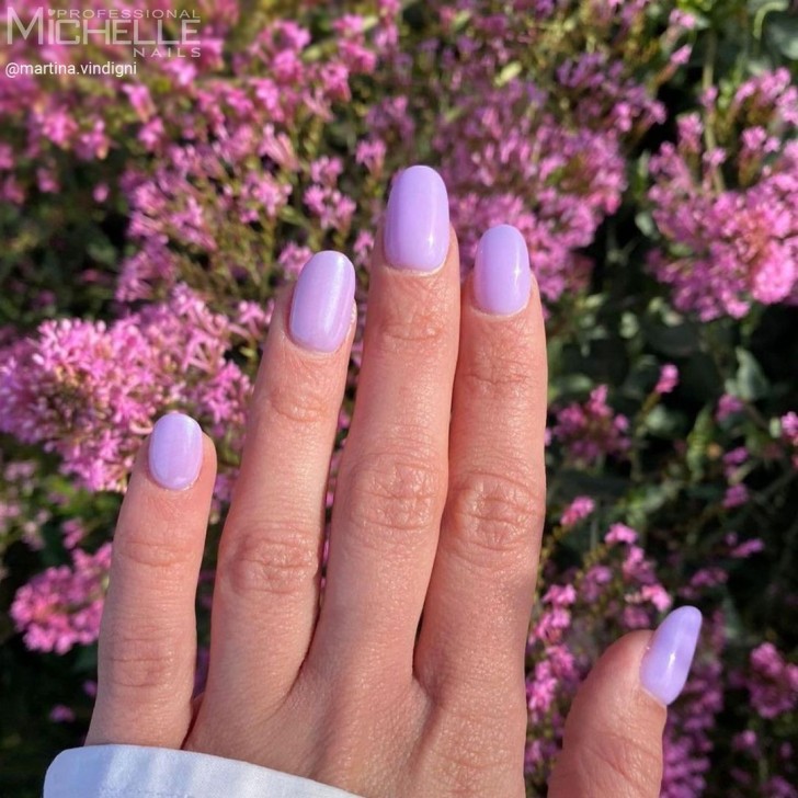 New My Secret - Uv Color Gel 062 Lilla