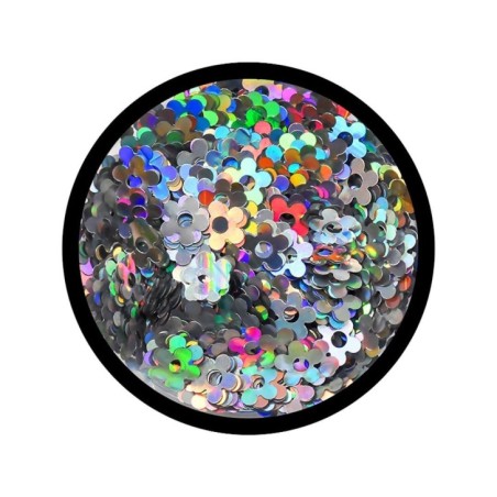 Paillettes Fiori Argento Arcobaleno - H702