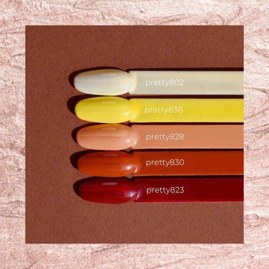 PRETTY Gel Semipermanente Colour - 838 2