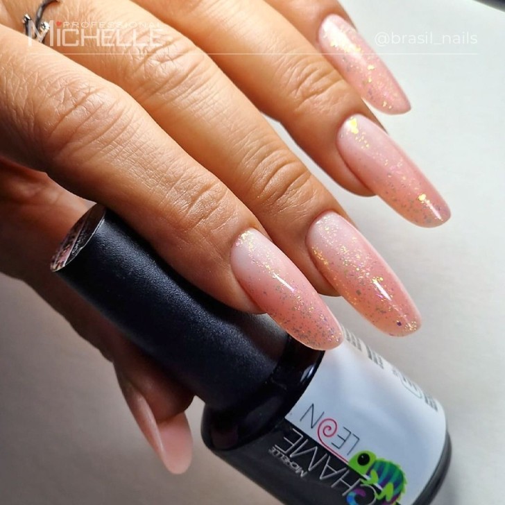 Top Chameleon No Wipe - 02