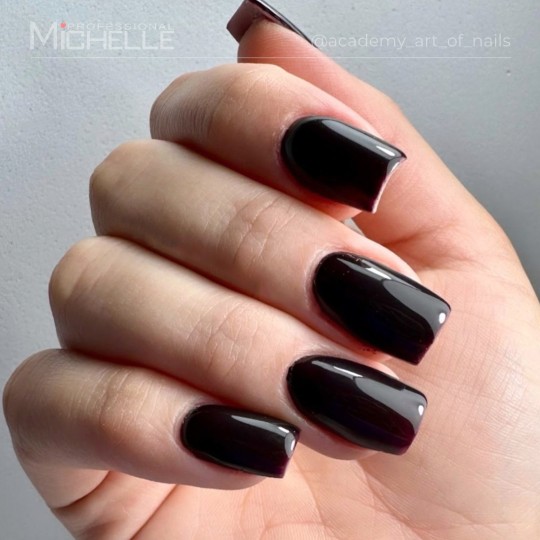 smalto semipermanente colore per unghie Michellenails PRETTY Gel Semipermanente Colour - 200R Rouge Noir 2