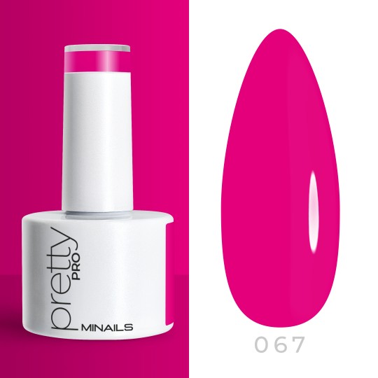 Colour semi-permanente Gel Pretty Pro - 067