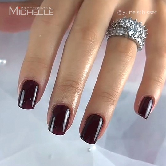 Colour semi-permanente Gel Pretty Pro - 204 2